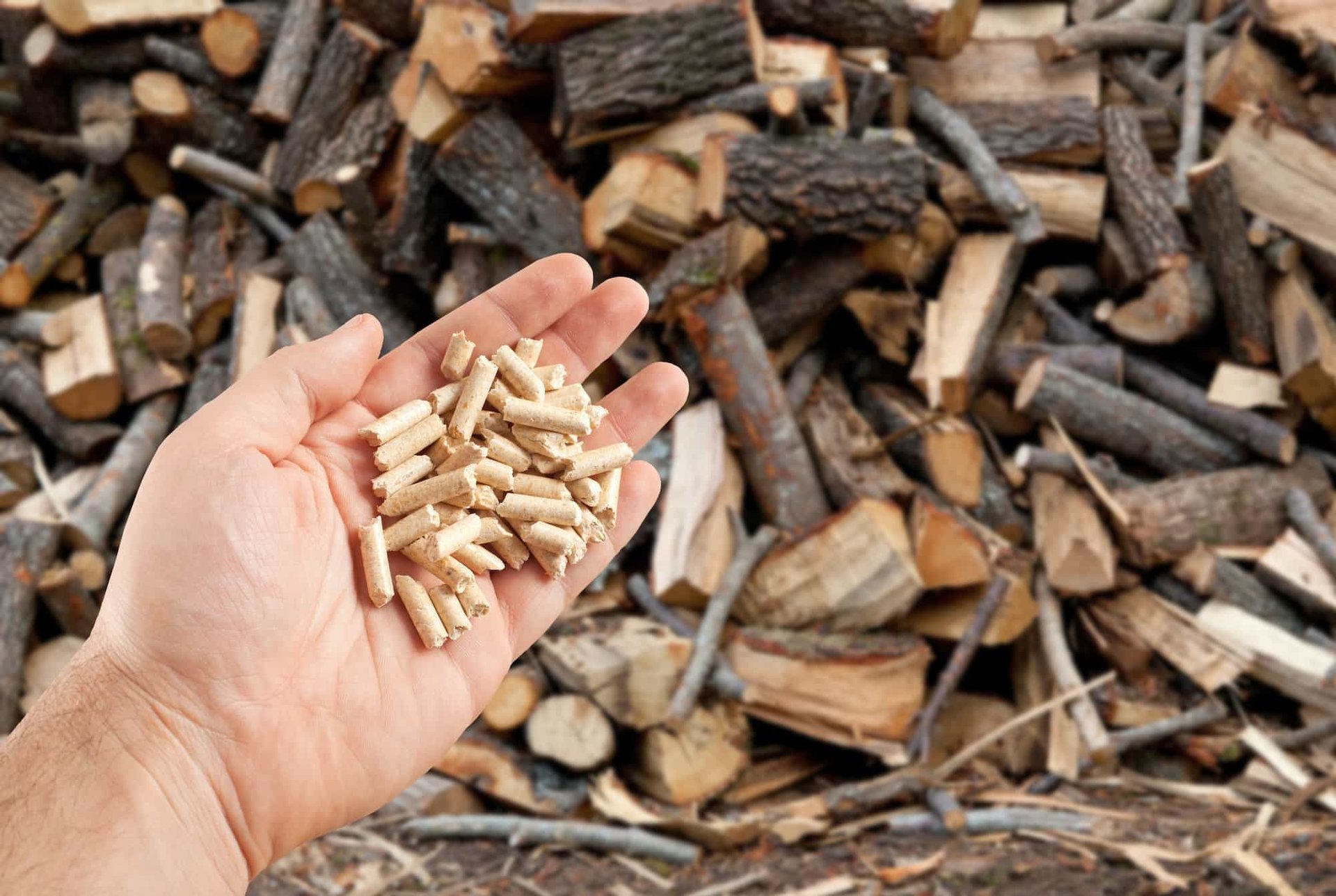 Des forêts à votre salon : Le processus écologique derrière les poêles ...