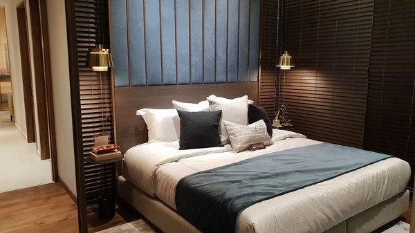 Quimper : comment se débarrasser des punaises de lit rapidement !